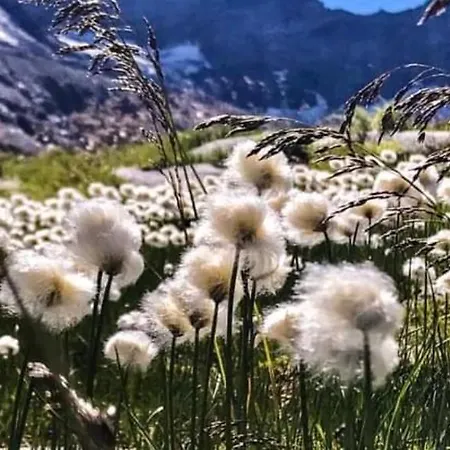 Landhof Aigner 3* Mittersill