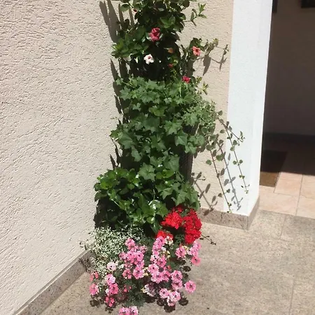 Landhof Aigner Guest house