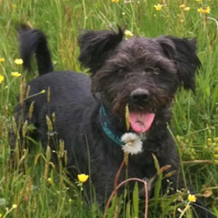 Gasthof Landhof Aigner 3*