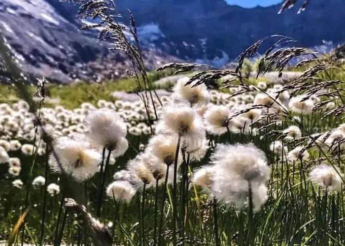 Landhof Aigner 3* Mittersill