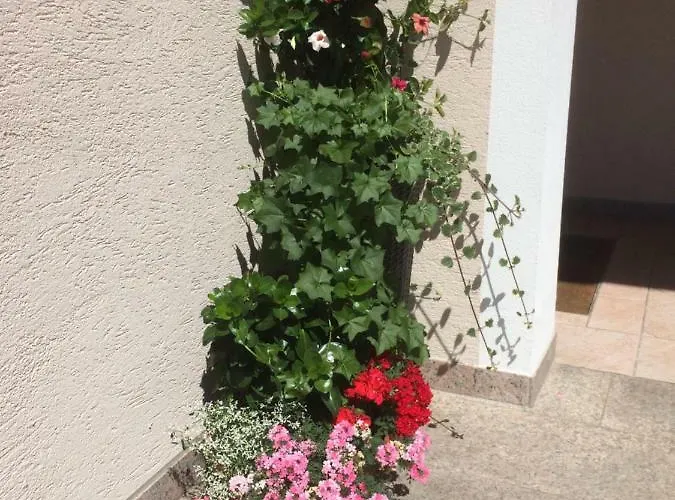 Landhof Aigner Pensión