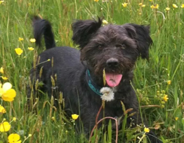 Guest house Landhof Aigner 3*